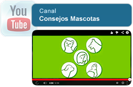 Visita nuestro canal Clinica Veterinaria El Bosque en Youtube.