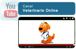 Visita nuestro canal Veterinario Online en Youtube.